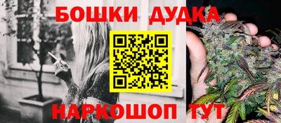 прущие крисы Шахты