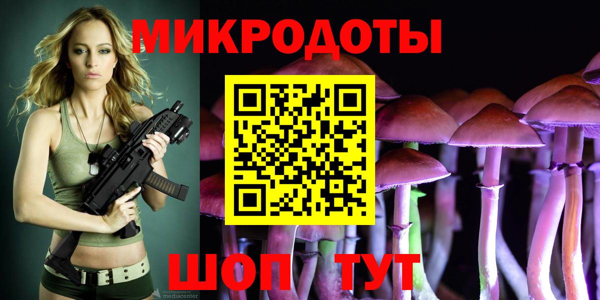 Псилоцибиновые грибы Psilocybine cubensis Кимры